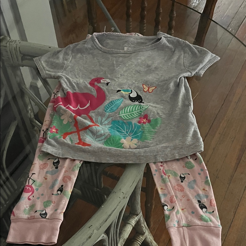 Wonder Nation Flamingo and Toucan Pajama Set - Gray and Pink